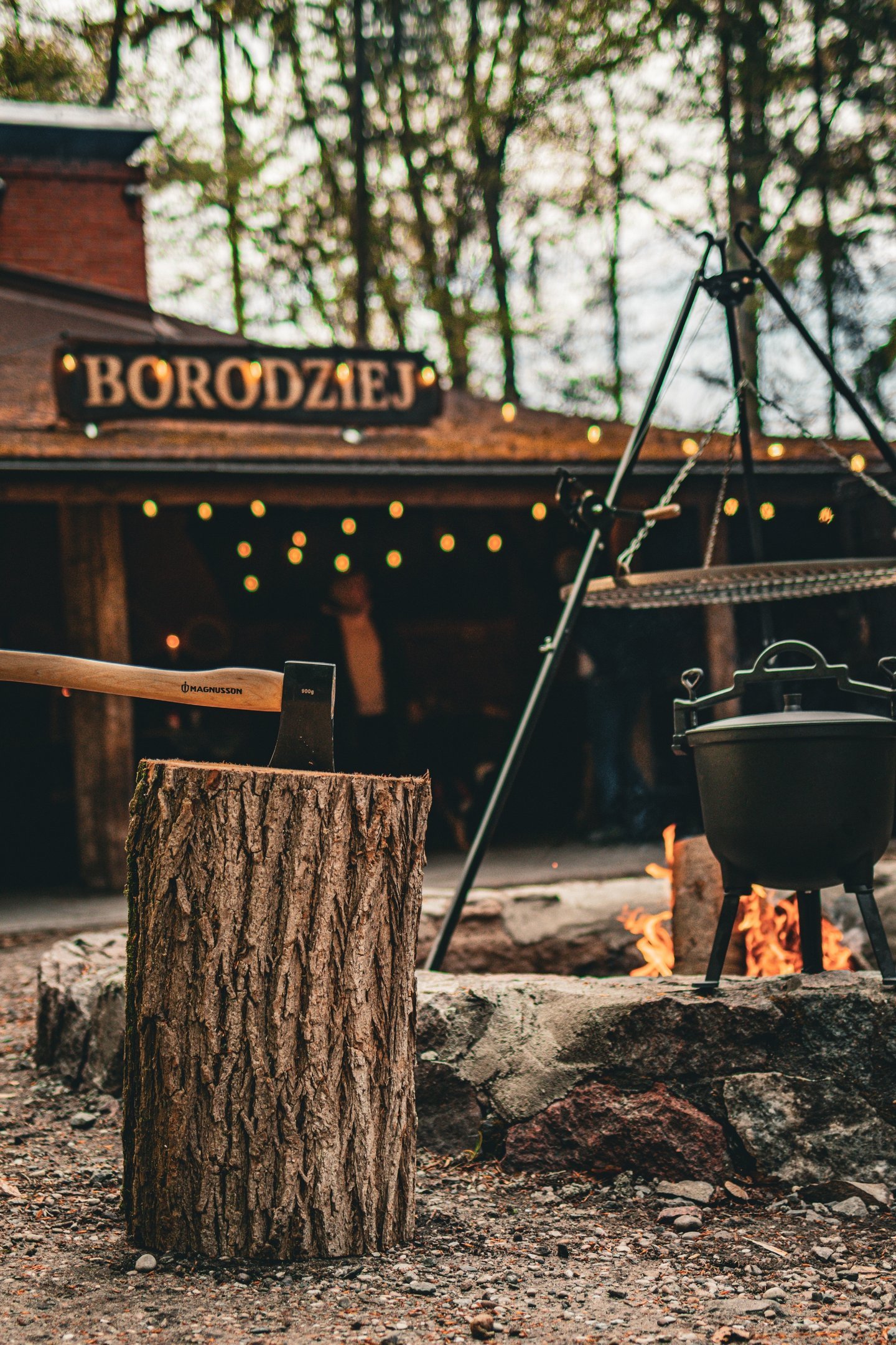 Borodziej in Sopot - photo 14