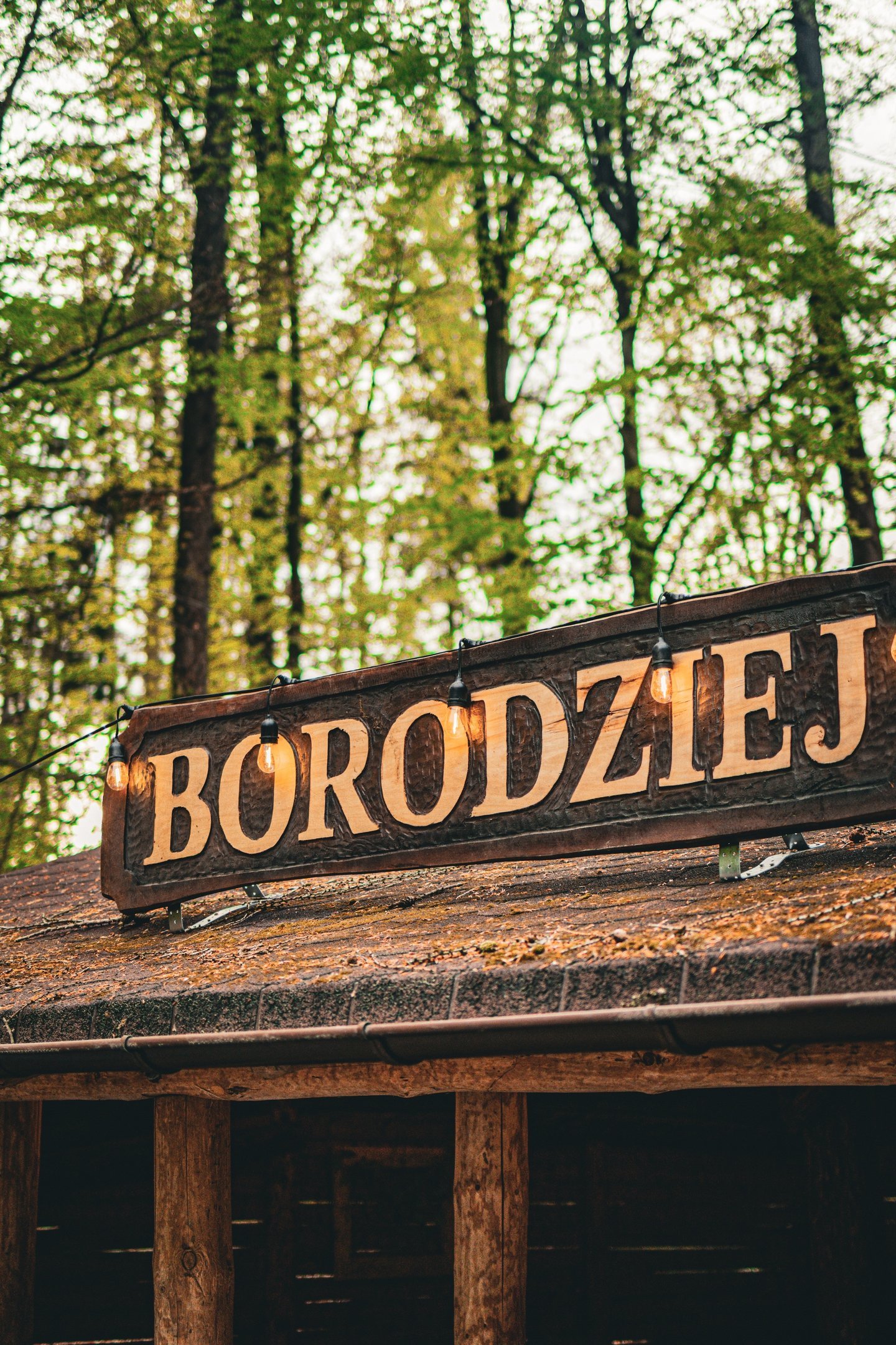 Borodziej in Sopot - photo 28