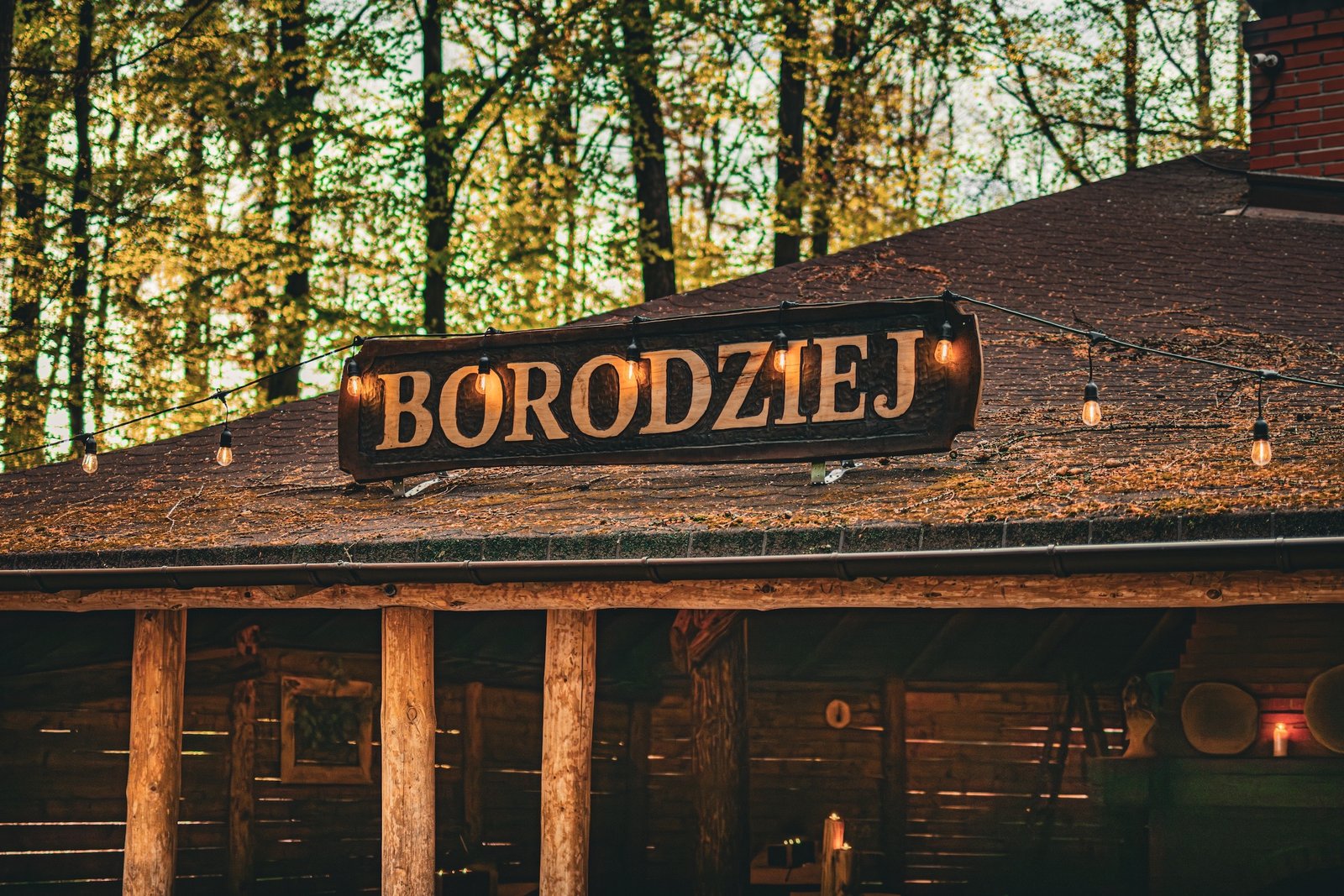 Borodziej in the forest